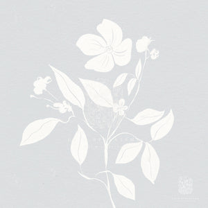 Close-up of a soft blue and white floral print, minimal in design, perfect for giving any space a touch of tranquility.