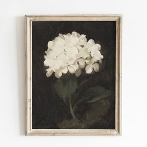 Vintage-style hydrangea flower print with dark moody background, perfect for elegant living room or classic cottage wall decor