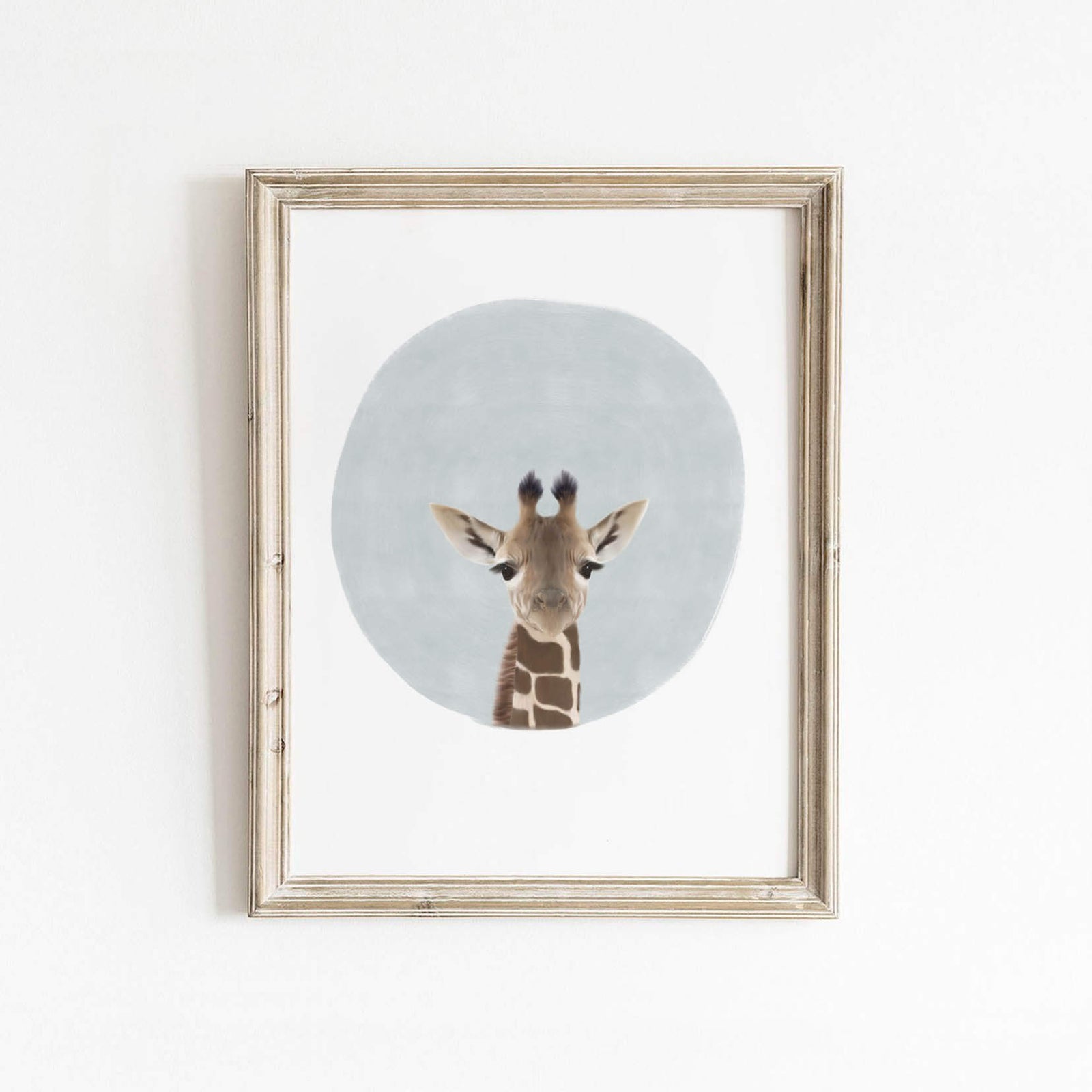 Whimsical Animal Wall Art