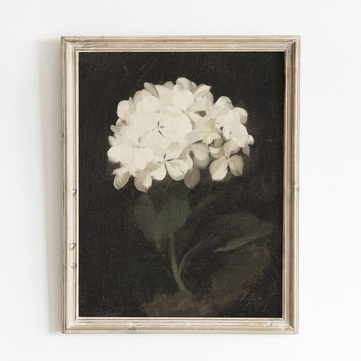 Vintage-style hydrangea flower print with dark moody background, perfect for elegant living room or classic cottage wall decor